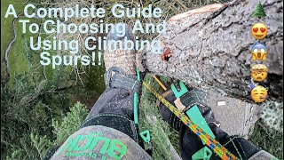 EVERYTHING You Need To Know About Tree Climbing Spurs A Complete Guide to Choosing and Using Spurs [upl. by Ynnod]