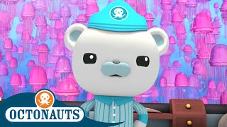 Octonauts  Jellyfish Adventure  Cartoons for Kids  Underwater Sea Education [upl. by Mori]