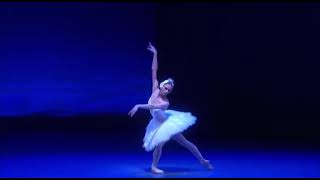 SWAN LAKE  Odette Variation Polina Semionova  Zurich Ballet [upl. by Meg]