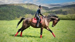 Epic full galloping GoPro extreme riding Best shots [upl. by Edra]