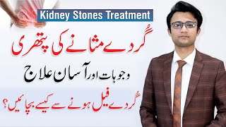 Kidney Stones  Symptoms amp Treatment In Urdu  Gurday Ki Pathri By Dr Danish Niaz [upl. by Malinowski]