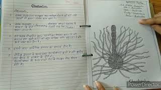 Botany practical file Bsc 1st year [upl. by Ahsial]