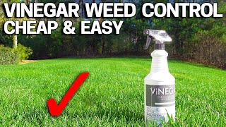 Vinegar Weed Killer  Works in 24 Hours [upl. by Leonelle871]