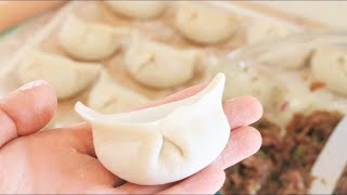 How to Make Chinese Dumplings From Scratch [upl. by Vashtee]