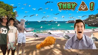 Feeding Seagulls Laxatives PRANK [upl. by Larrabee]