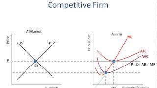 Perfect Competition Economic Profit Loss amp ShutDown [upl. by Tinor]