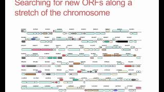 What is gene annotation [upl. by Janifer]