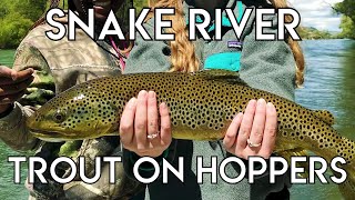 Epic Snake River Hopper Fishing [upl. by Haeli]