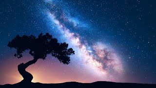 DEEP HEALING SLEEP Sleep Music • Delta Waves • Calming Music • Meditation Music • Relaxation [upl. by Jacobah]