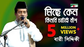 মিছে কেন কিনবি চাটাই বাঁশ  Bari Siddiqui  Channeli  IAV [upl. by Epoh]