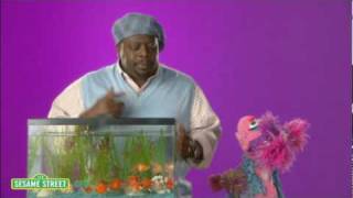 Sesame Street Cedric the Entertainer Canteen [upl. by Timms]