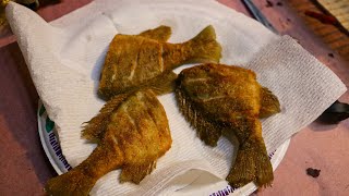 Frying WHOLE Blue Gills You NEED To Try This [upl. by Hurless496]