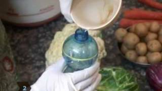 How to Make Your Own Fruit amp Vegetable Wash [upl. by Hnilym632]