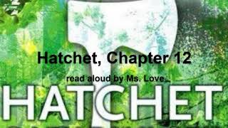 Hatchet by Gary Paulsen Chapter 12 [upl. by Fia]