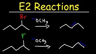 E2 Reaction Mechanism  Hoffman Elimination vs Zaitsevs Rule [upl. by Nosnar980]