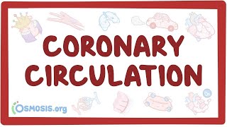 Coronary circulation  an Osmosis Preview [upl. by Atteniuq]