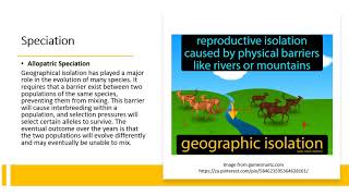 Chapter 176 Evolution  Species and Speciation [upl. by Nelleus204]