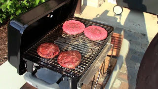 Review Weber GoAnywhere Charcoal Grill [upl. by Alyar]