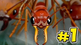 Ant Simulator  Empires Of The Undergrowth  Ep1 [upl. by Ofelia232]