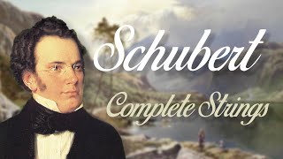 Schubert Complete String Quartets [upl. by Ahsikcin]