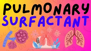 The Respiratory System Pulmonary Surfactant [upl. by Katharina]