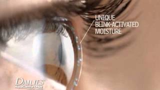 DAILIES® AquaComfort Plus® Contact Lenses [upl. by Nodarse949]