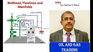 Wellhead Flowlines and Manifolds [upl. by Stickney316]