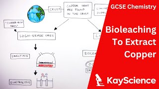 Using Bioleaching To Extract Copper  GCSE Chemistry  kaysciencecom [upl. by Elirpa]