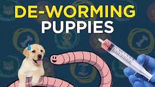 Deworming Puppies [upl. by Naawaj]