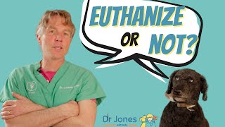 Problems With Euthanasia [upl. by Adaval66]