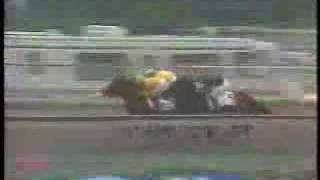 1988 Preakness Stakes [upl. by Edith983]