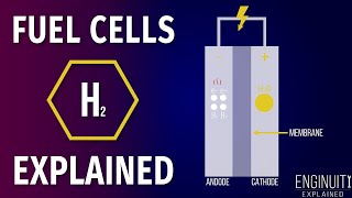 Hydrogen Fuel Cell How It Works [upl. by Aramac562]