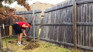 Fence Repair  Replace broken wood fence post [upl. by Esinaej]