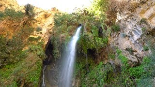 Ein Gedi and the Waterfall Of David [upl. by Marba]