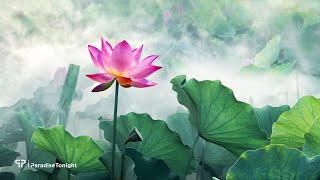 Buddhas Flute Awakening  Relaxing Music for Meditation amp Zen [upl. by Adnilab]