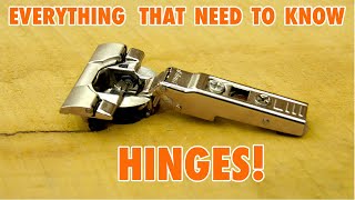 Cabinet Door Hinges  Everything you need to Know [upl. by Lsil]