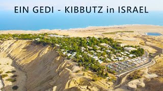 EIN GEDI is a KIBBUTZ on the western shore of the DEAD SEA in Israel [upl. by Woothen]