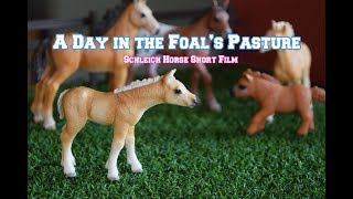 A Day in the Foals Pasture  Schleich Horse Short Film [upl. by Bethesda]