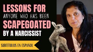 Lessons for anyone who was scapegoated by a narcissist Narcissistic Family Roles [upl. by Figone687]