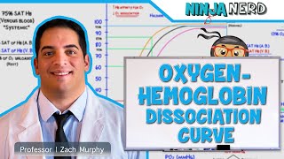 Respiratory  OxygenHemoglobin Dissociation Curve [upl. by Rexferd374]