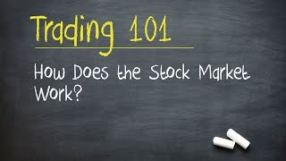 Trading 101 How Does the Stock Market Work [upl. by Toms348]