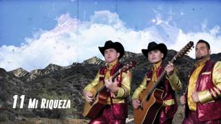 Mi Riqueza  Los Plebes del Rancho de Ariel Camacho  DEL Records 2016 [upl. by Elder]