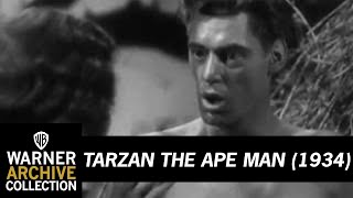 Clip  Tarzan the Ape Man  Warner Archive [upl. by Bradley]