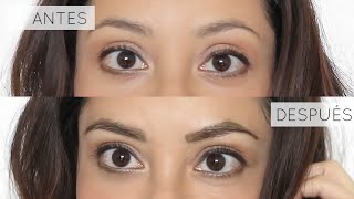 Cómo Teñirse las Cejas en Casa Tutorial [upl. by Kay]