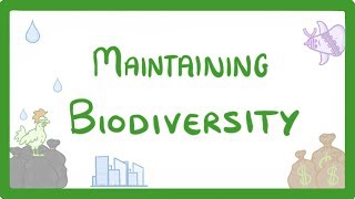 GCSE Biology  Maintaining Biodiversity 90 [upl. by Nairot364]