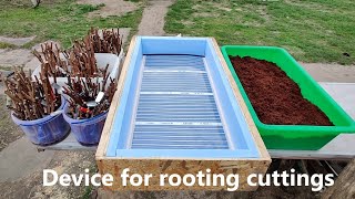 An Effective Method of Rooting Grape Cuttings [upl. by Erodaeht]