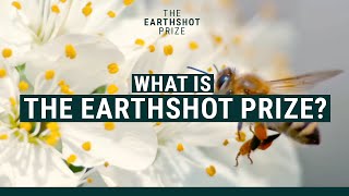 What Is The Earthshot Prize 🌍🏆  EarthshotPrize [upl. by Hailat504]