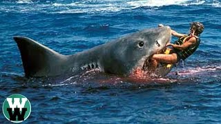 10 DEADLIEST Shark Attack Stories [upl. by Saville938]