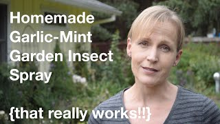 Homemade GarlicMint Garden Insect Spray that really works  AnOregonCottagecom [upl. by Eronaele]