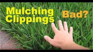 Does Mulching Clippings Cause Thatch Buildup In Lawns [upl. by Arabeila]